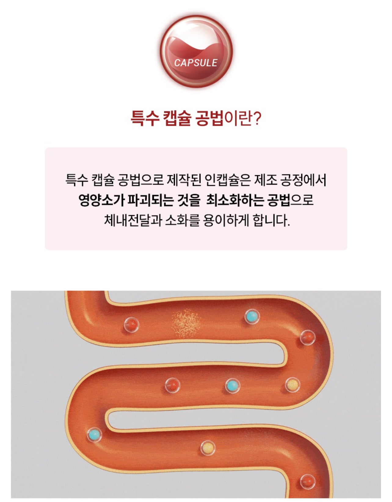 페노비스 인캡슐 강아지 관절 영양제 글루코사민 9000mg 슬개골&관절강화 90g 글루코사민, 뼈/관절강화