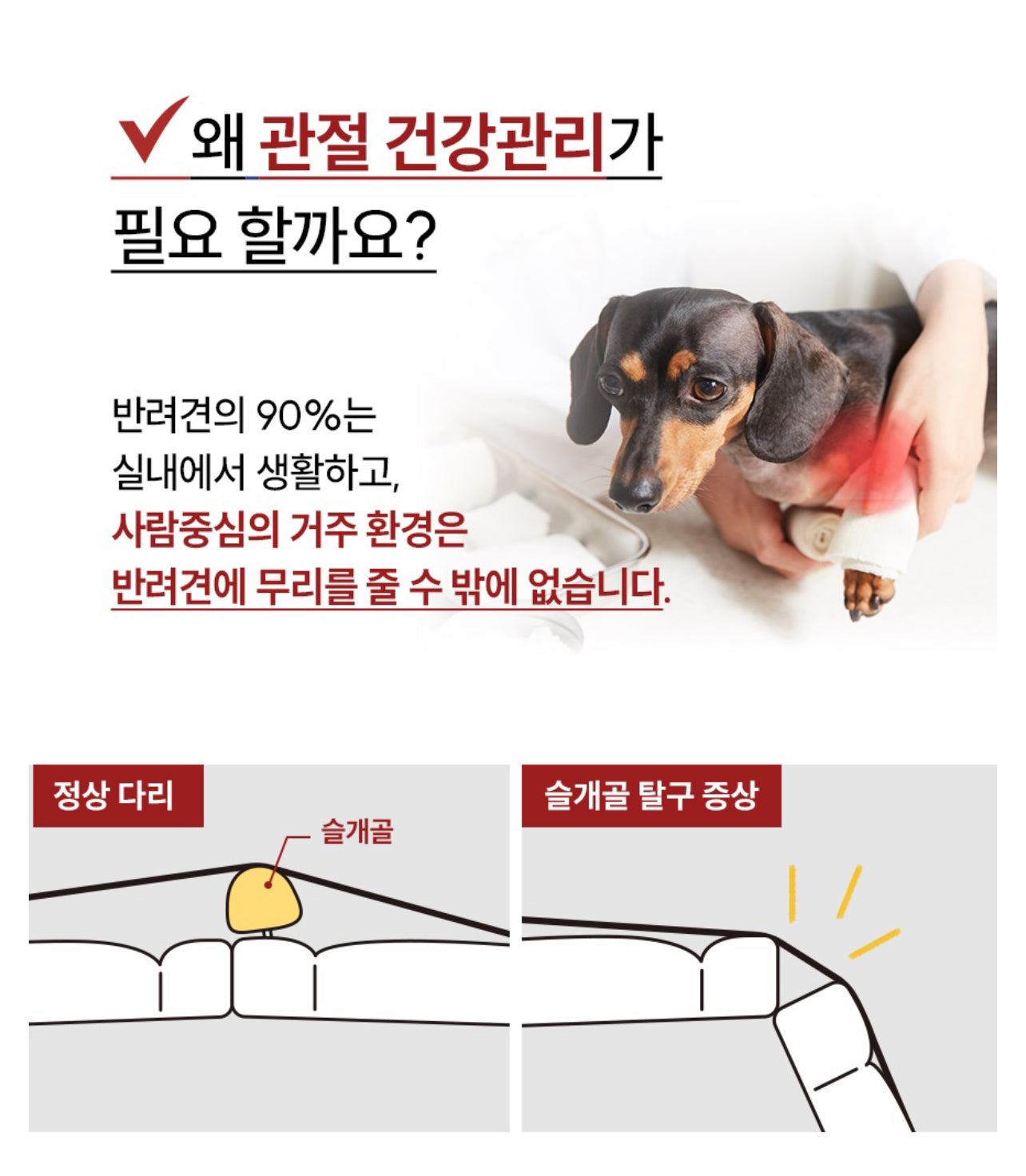 페노비스 인캡슐 강아지 관절 영양제 글루코사민 9000mg 슬개골&관절강화 90g 글루코사민, 뼈/관절강화
