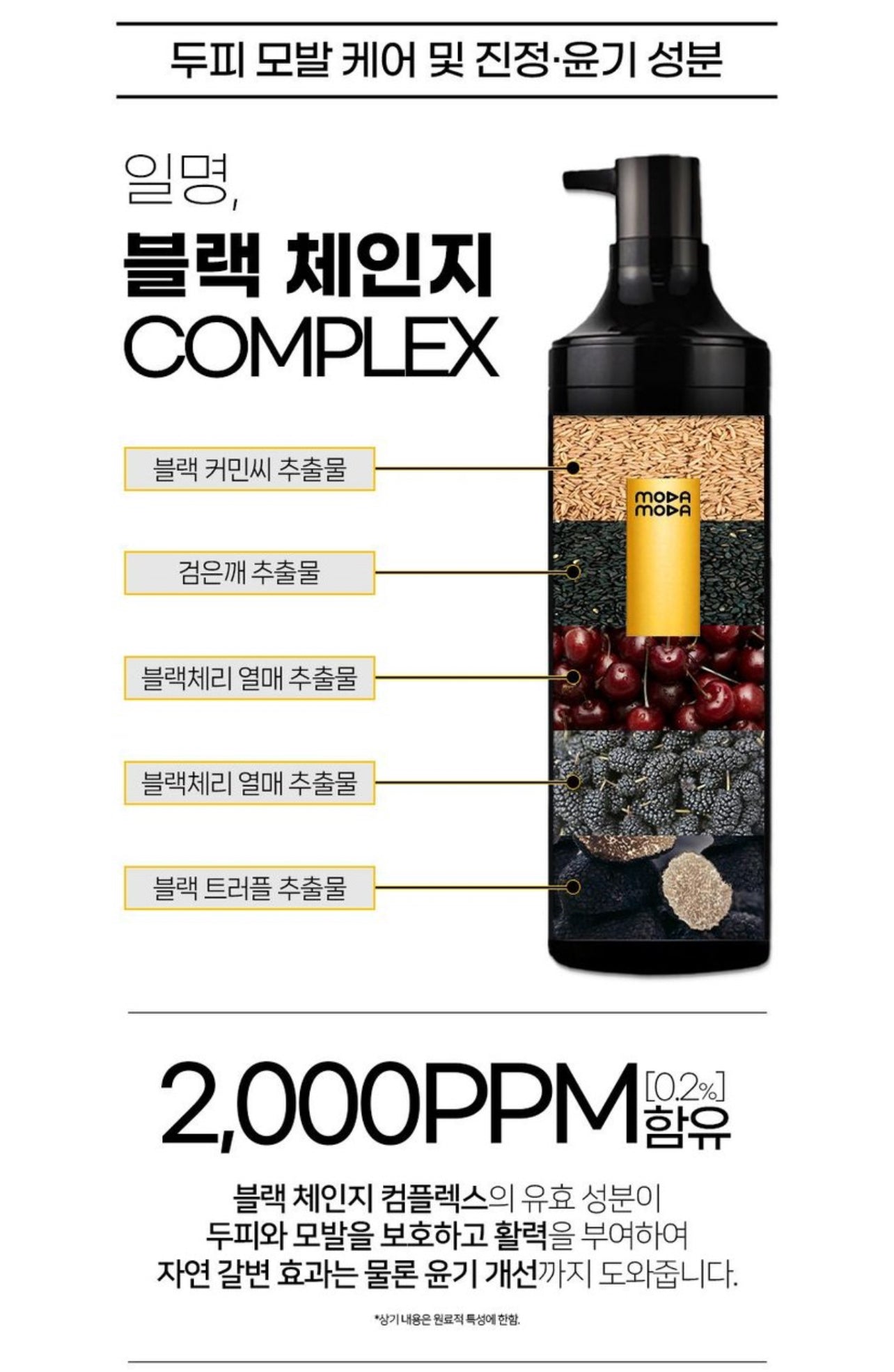 모다모다 프로체인지 블랙샴푸 1EA 300g
