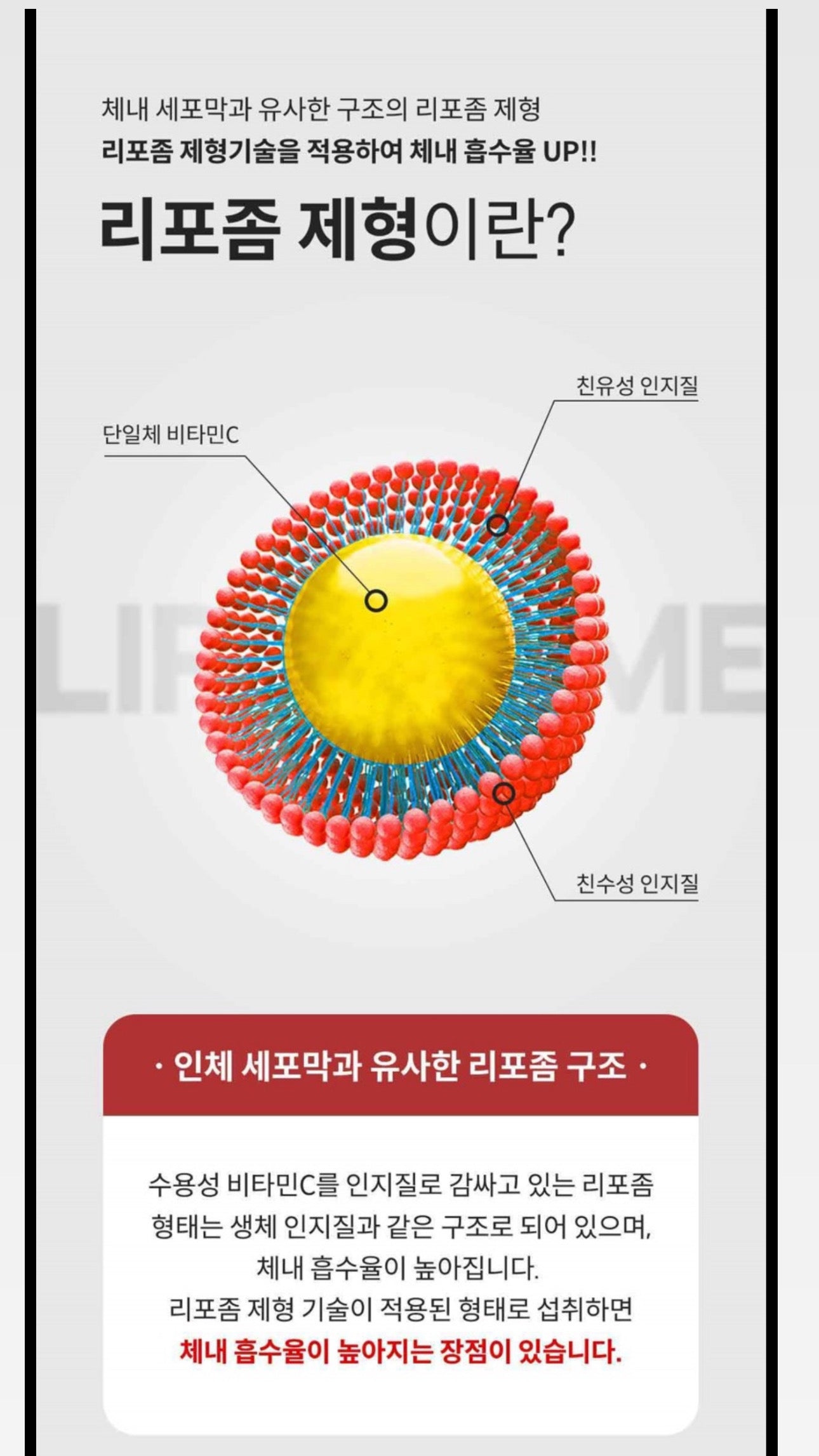 Sanocell Liposomal Vitamin C (1000mgx100 capsules) 사노셀 리포좀 비타민 C 100정