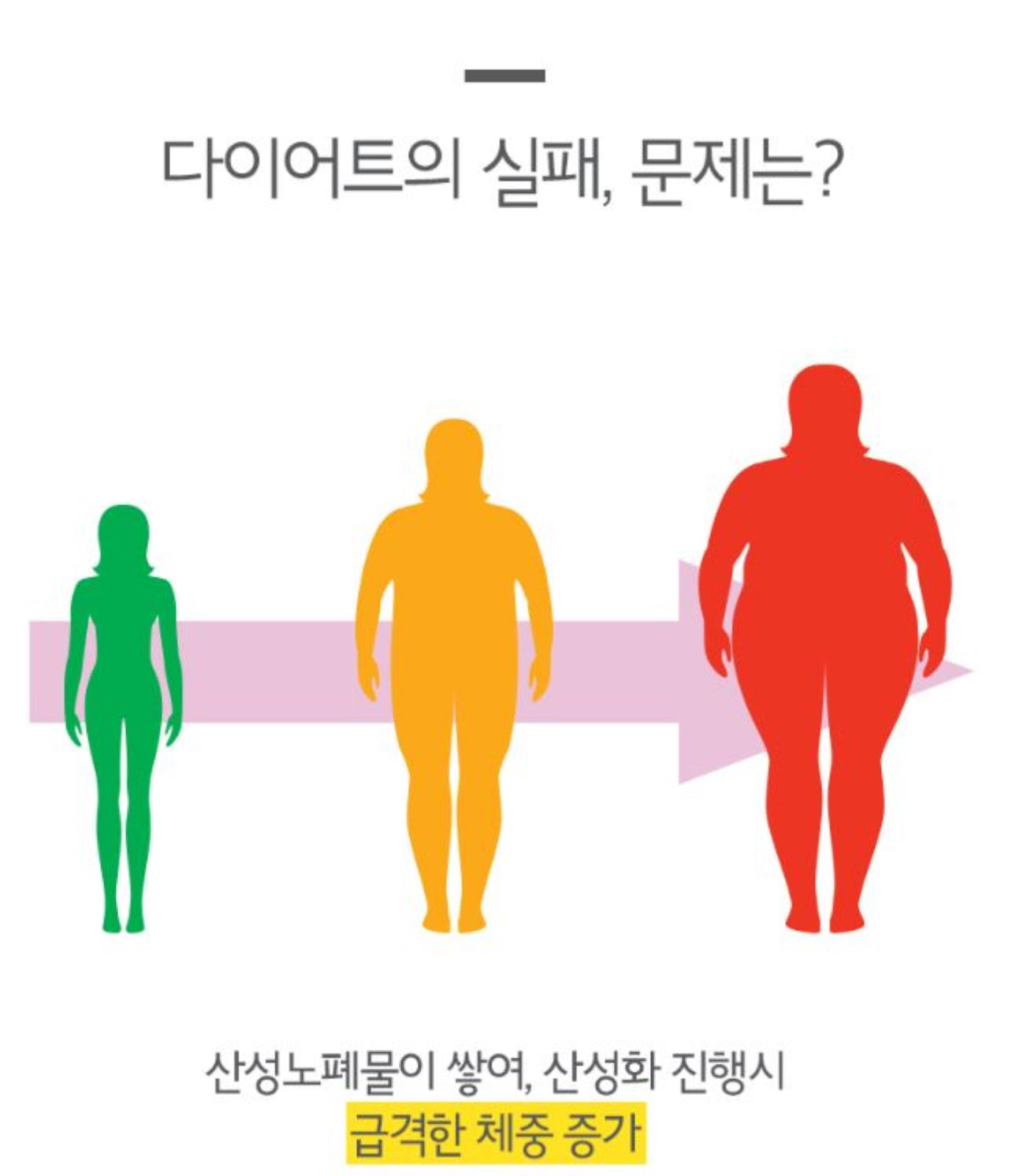 건강한 다이어트 개인결제창 Individual Diet consultant