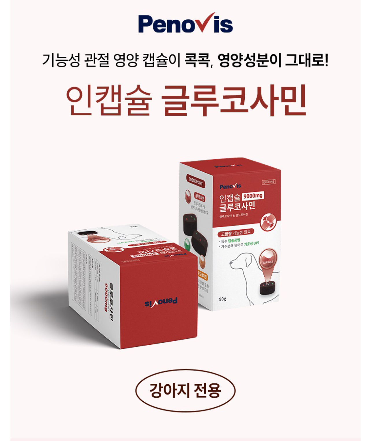 페노비스 인캡슐 강아지 관절 영양제 글루코사민 9000mg 슬개골&관절강화 90g 글루코사민, 뼈/관절강화