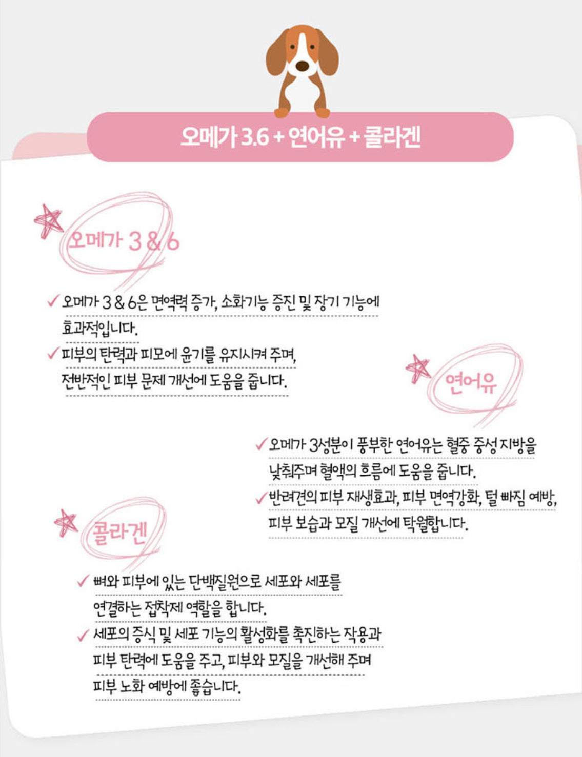 닥터케어브러쉬 4종세트(눈,관절,장,피부건강) Natural Dental treats for dogs- 4bags sers Breath, Gums and Plaque made in Korea (4packs)