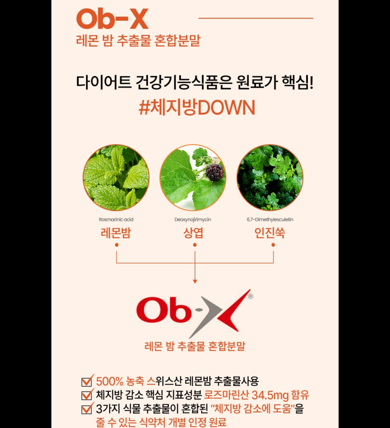 Fitany OB-X 레몬밤 피타니 제니스칼 팻킬 슬림(정제) 3개월치