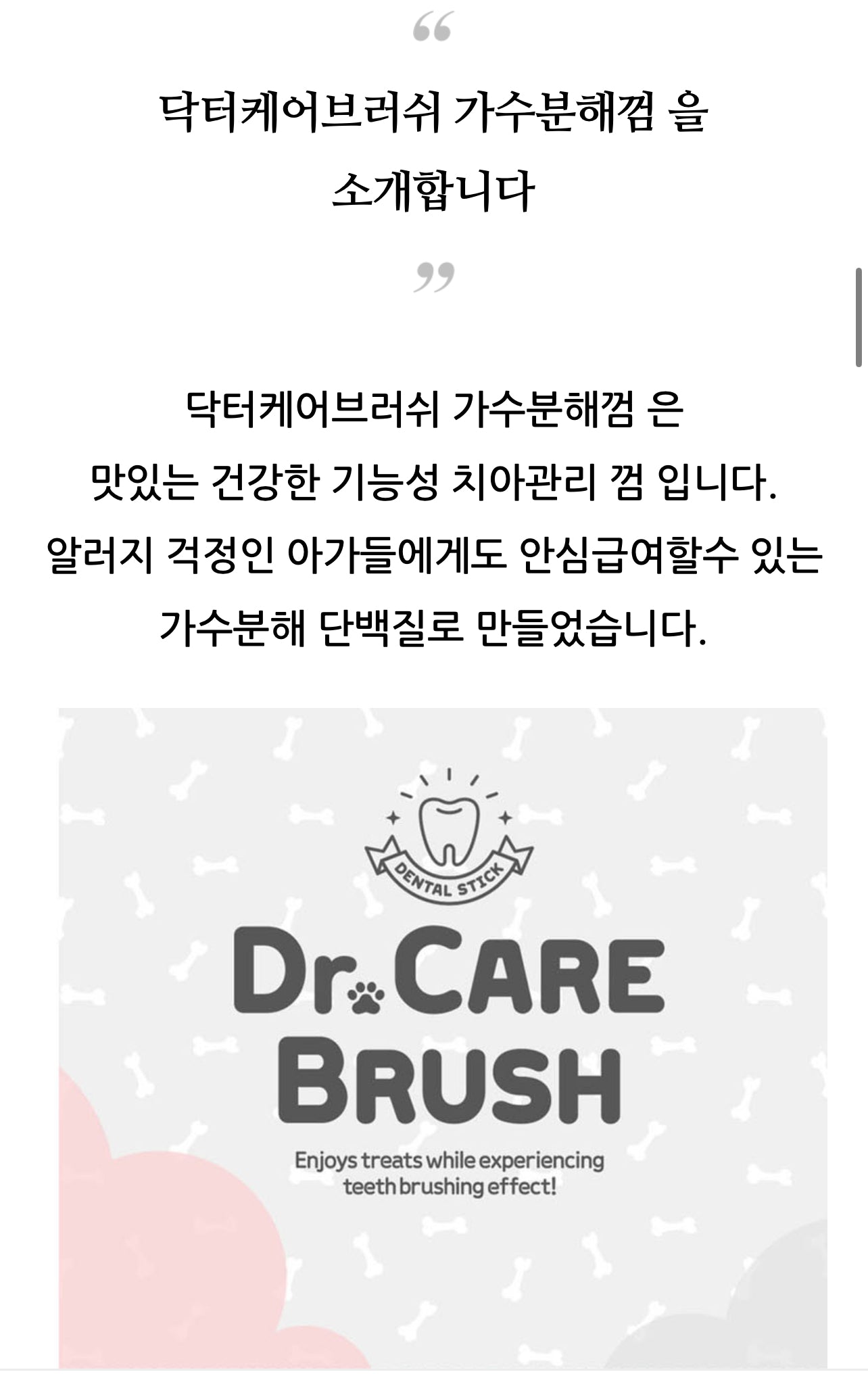 닥터케어브러쉬 4종세트(눈,관절,장,피부건강) Natural Dental treats for dogs- 4bags sers Breath, Gums and Plaque made in Korea (4packs)
