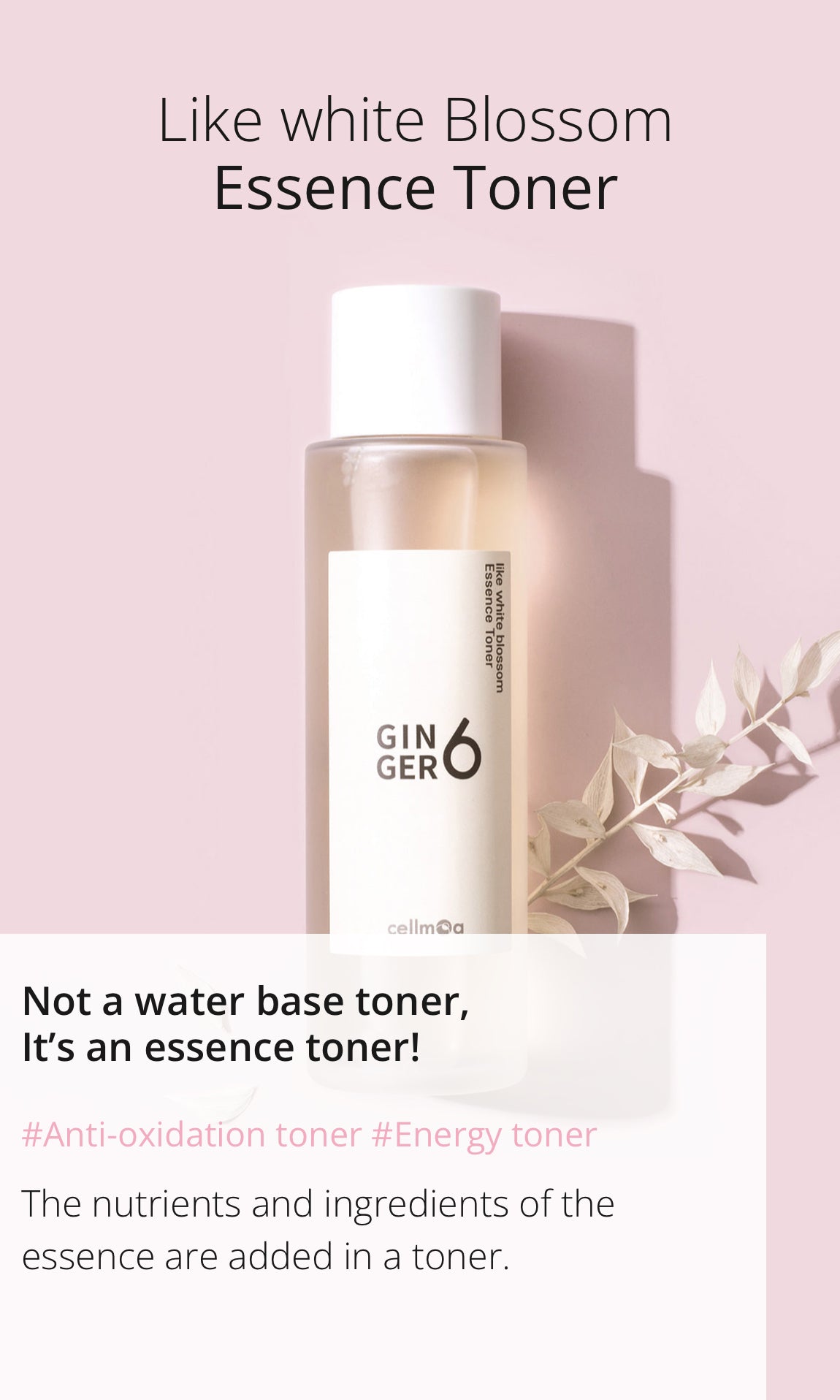 Ginger6 x Amberfit skincare gift set (진저식스 5종세트)