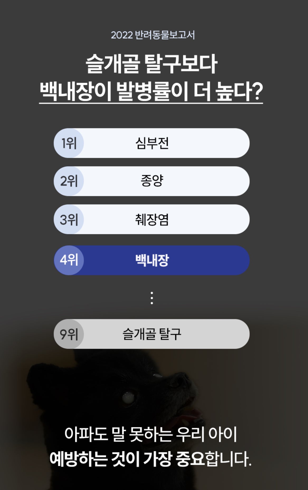 페노비스 인캡슐 강아지 영양제, 루테인, 눈물 개선/눈건강