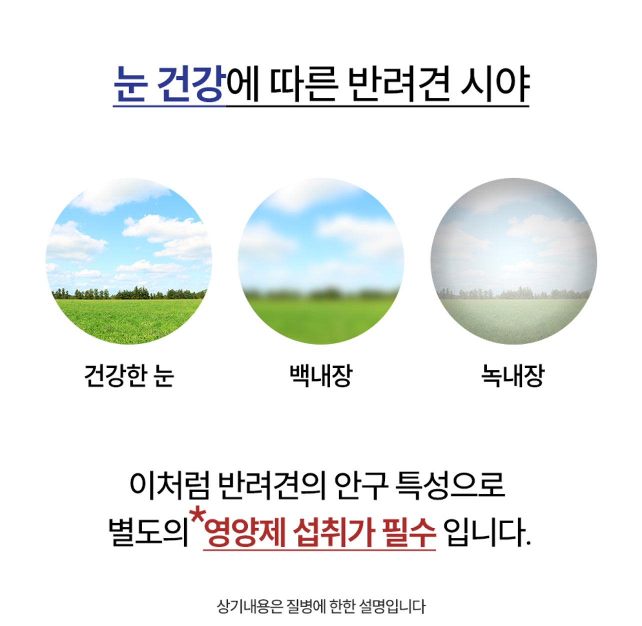 페노비스 인캡슐 강아지 영양제, 루테인, 눈물 개선/눈건강