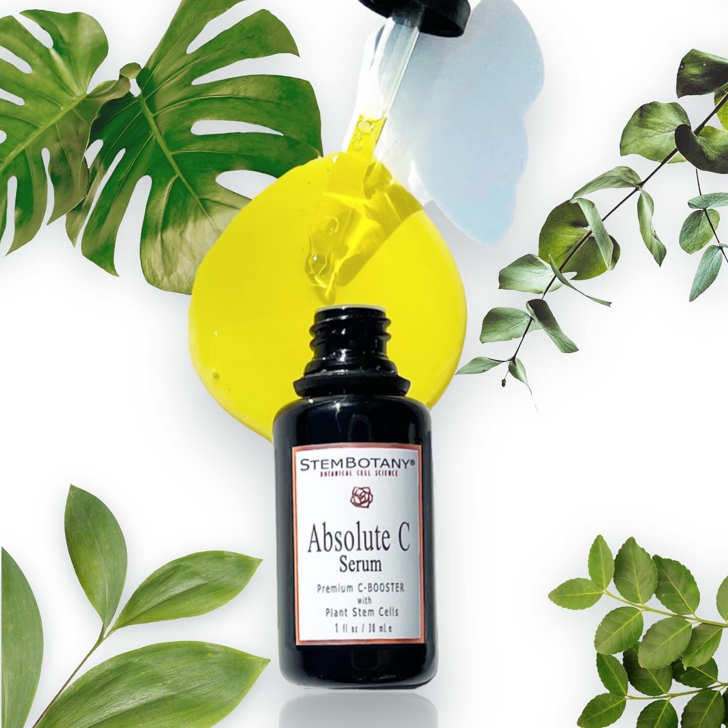 VITAMIN C SERUM WITH STEM CELLS | ABSOLUTE-C serum