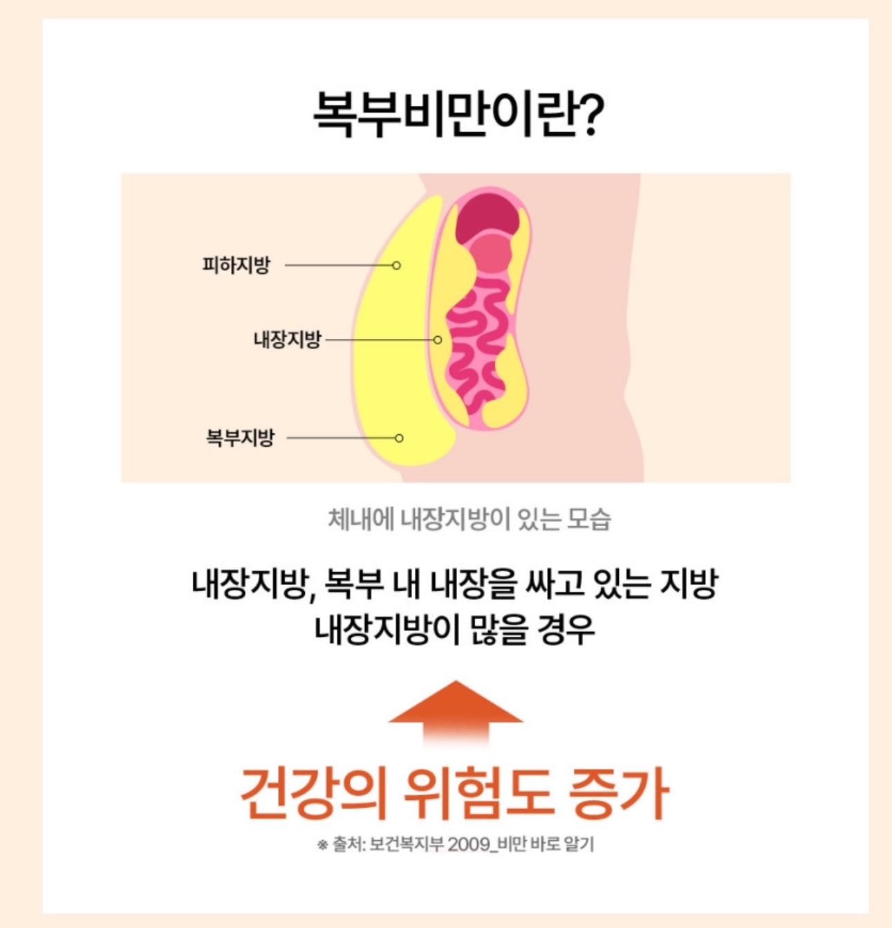 Fitany OB-X 레몬밤 피타니 제니스칼 팻킬 슬림(정제) 3개월치