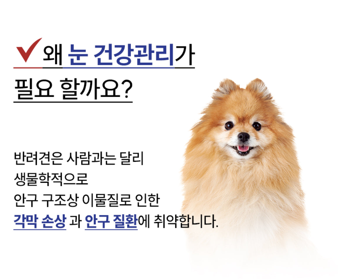 페노비스 인캡슐 강아지 영양제, 루테인, 눈물 개선/눈건강