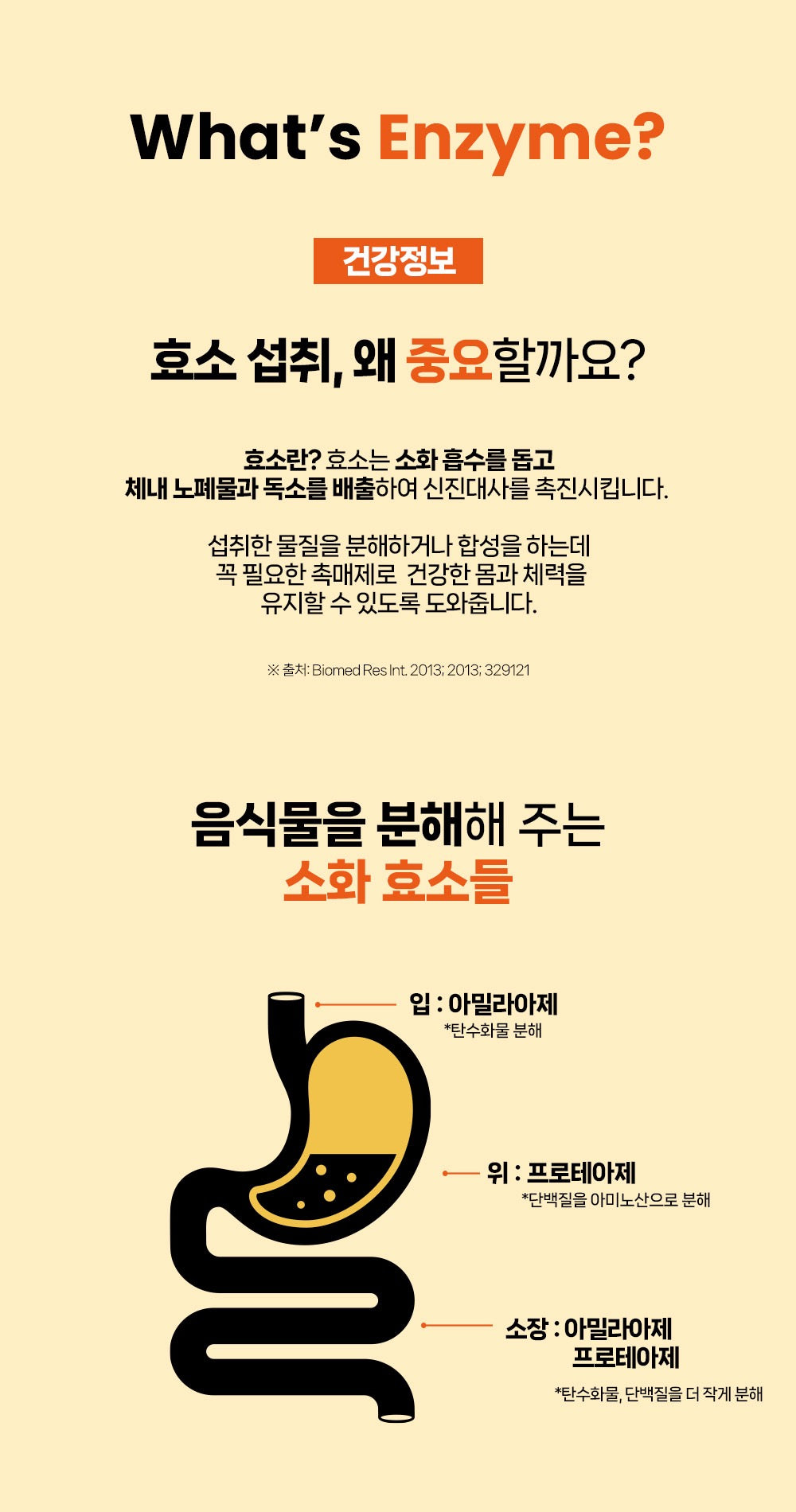 사노셀 컷팅마스터 엔자임 효소