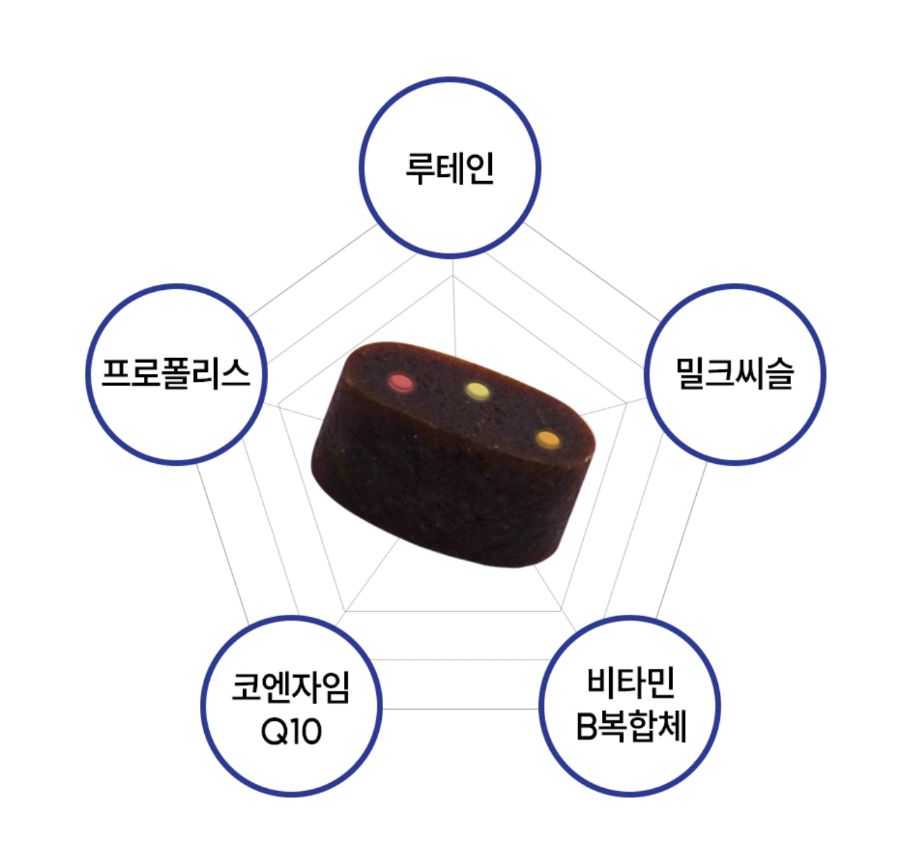페노비스 인캡슐 강아지 영양제, 루테인, 눈물 개선/눈건강