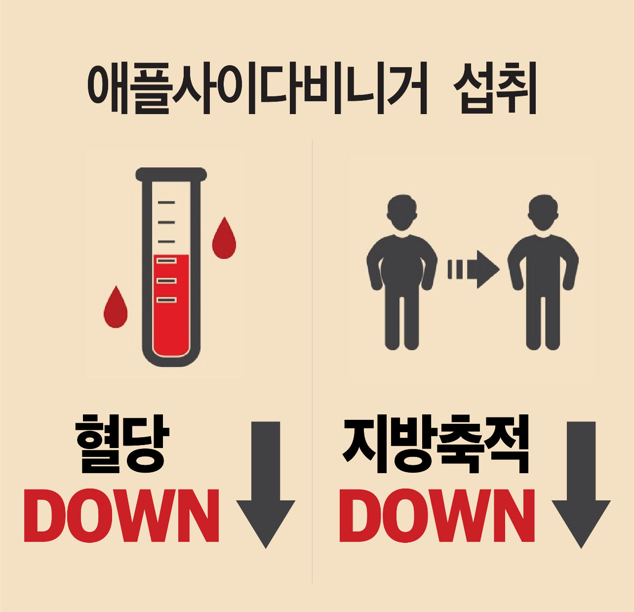 건강한 다이어트 개인결제창 Individual Diet consultant