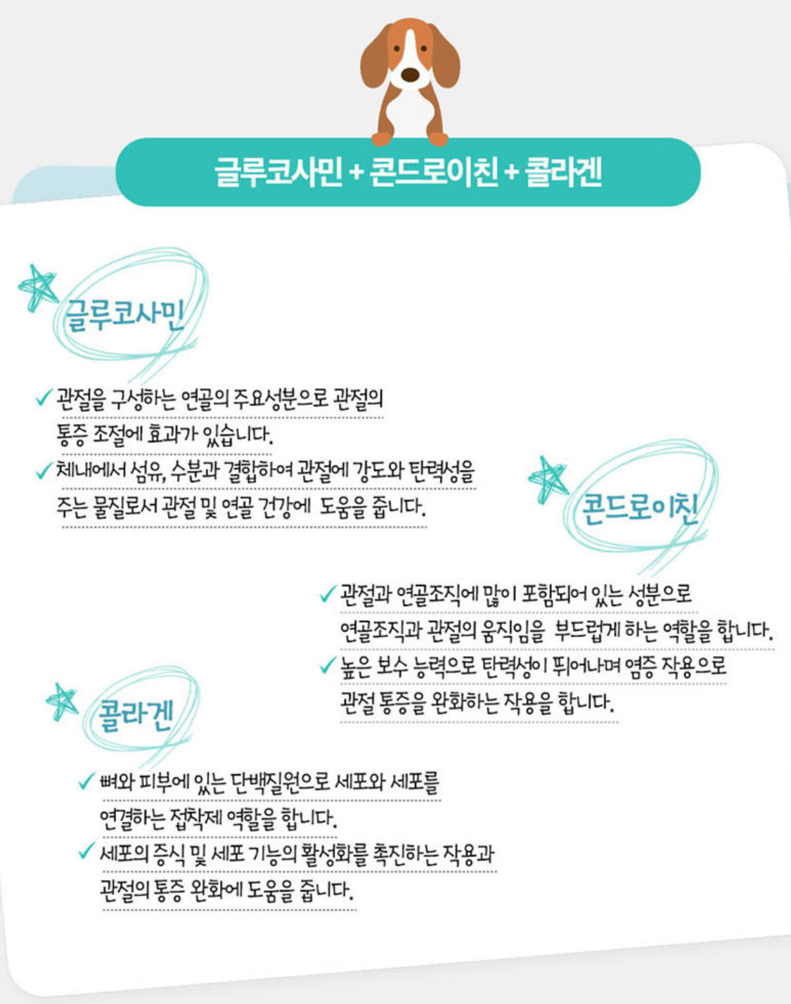 닥터케어브러쉬 4종세트(눈,관절,장,피부건강) Natural Dental treats for dogs- 4bags sers Breath, Gums and Plaque made in Korea (4packs)