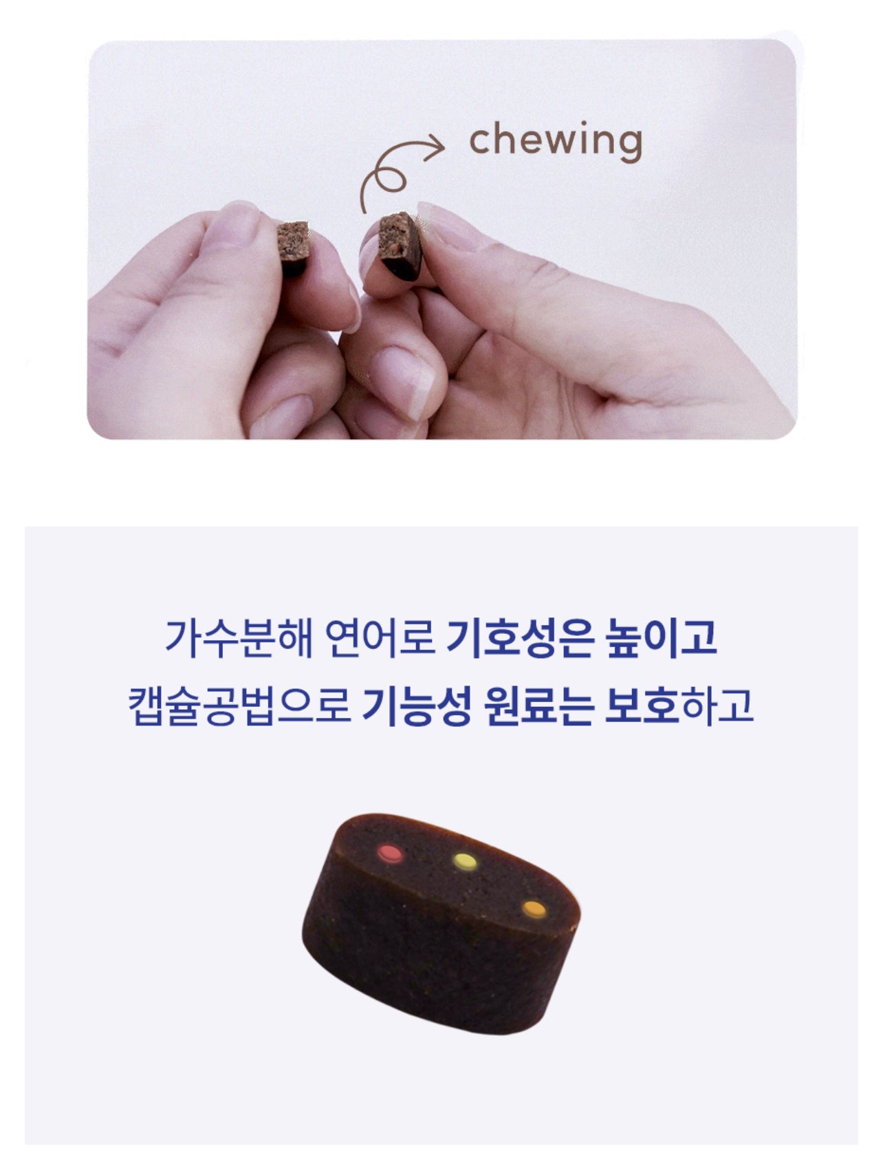 페노비스 인캡슐 강아지 영양제, 루테인, 눈물 개선/눈건강