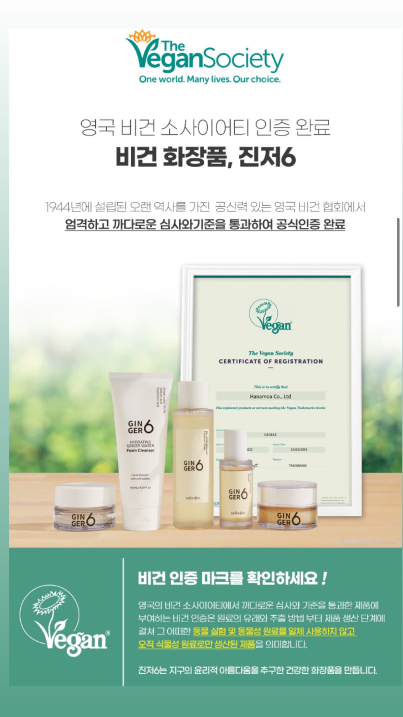 Ginger6 x Amberfit skincare gift set (진저식스 5종세트)
