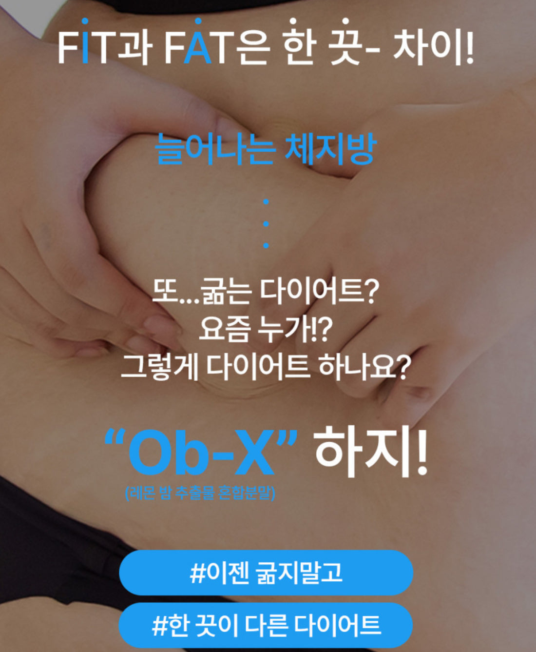 Fitany Ob-X 레몬밤 팻킬 슬림샷 제니스칼(분말) 2개월치(4box)