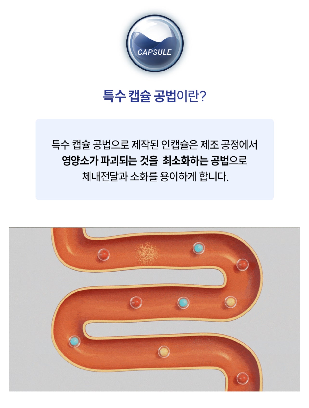페노비스 인캡슐 강아지 영양제, 루테인, 눈물 개선/눈건강