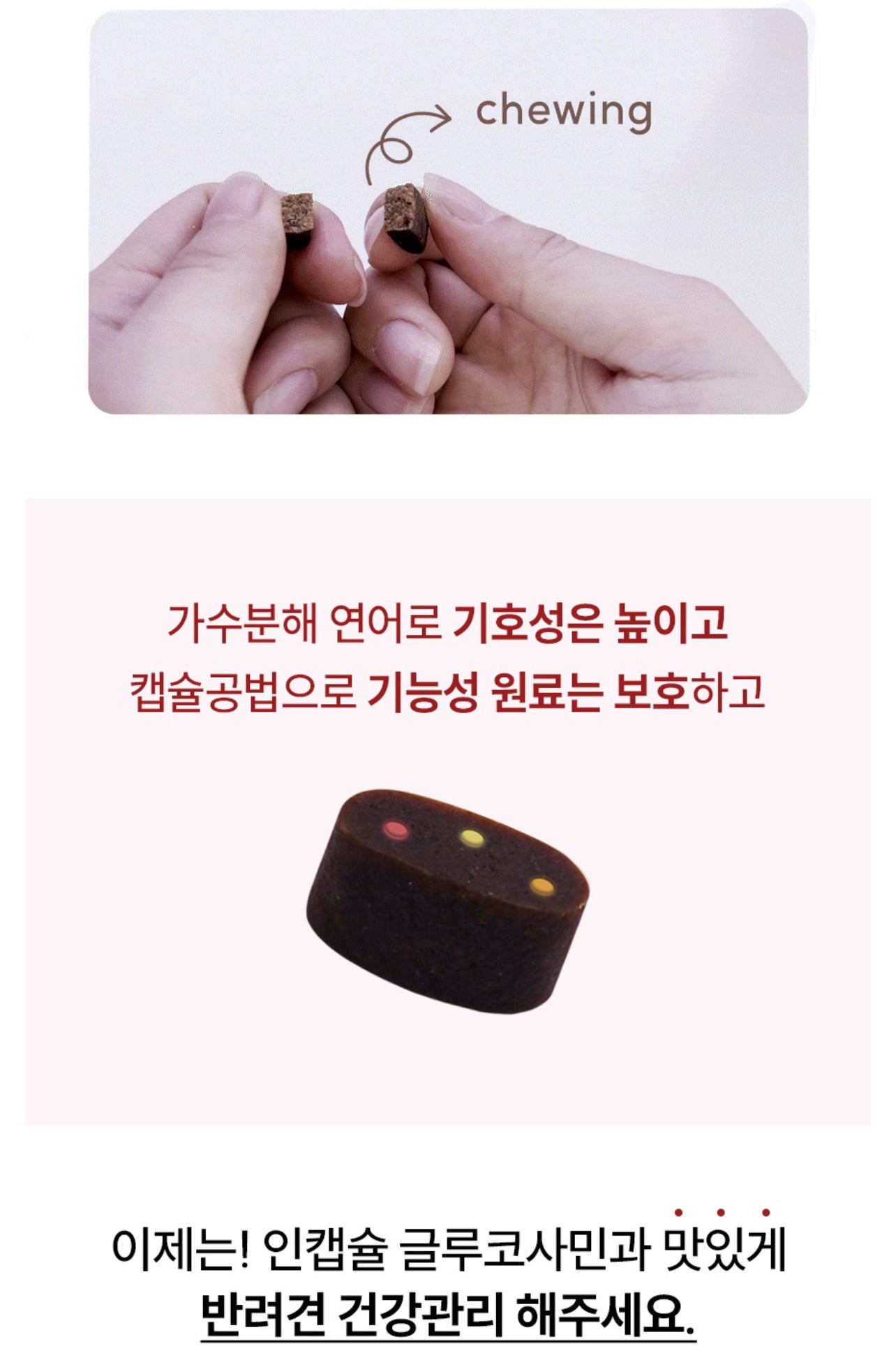 페노비스 인캡슐 강아지 관절 영양제 글루코사민 9000mg 슬개골&관절강화 90g 글루코사민, 뼈/관절강화