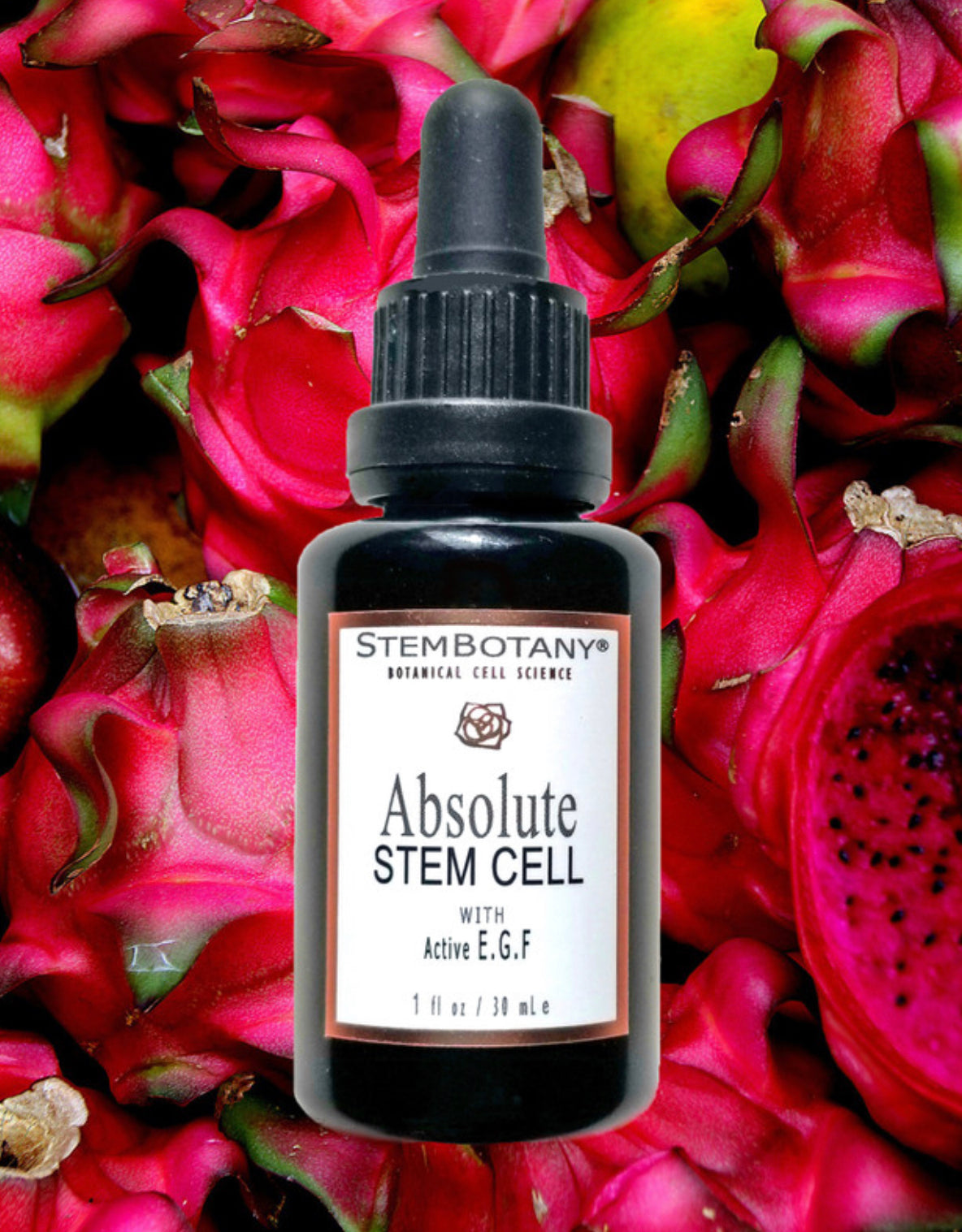 앱솔루트 줄기세포 EGF 세럼 ABSOLUTE STEM CELL SERUM