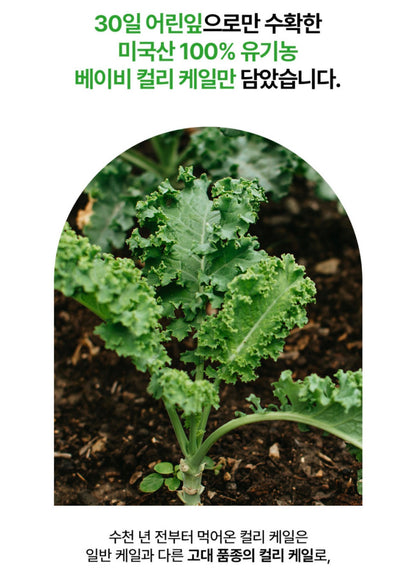 [5박스 150포] 피타니 100% 미국산 유기농 컬리 케일 글루코시놀레이트 저온진공건조 파우더 분말