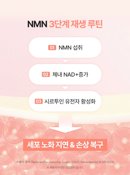 [5박스 140정]피타니 효모발효 좀비세포 고순도 에버 엔엠엔 피부 역노화 동안세포 고함량 NMN