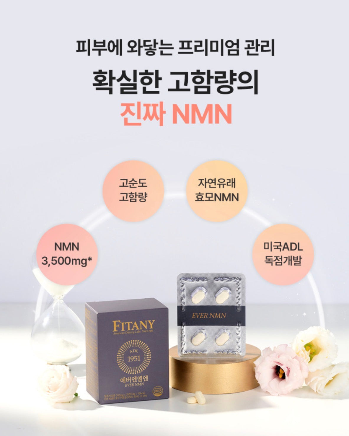 [5박스 140정]피타니 효모발효 좀비세포 고순도 에버 엔엠엔 피부 역노화 동안세포 고함량 NMN