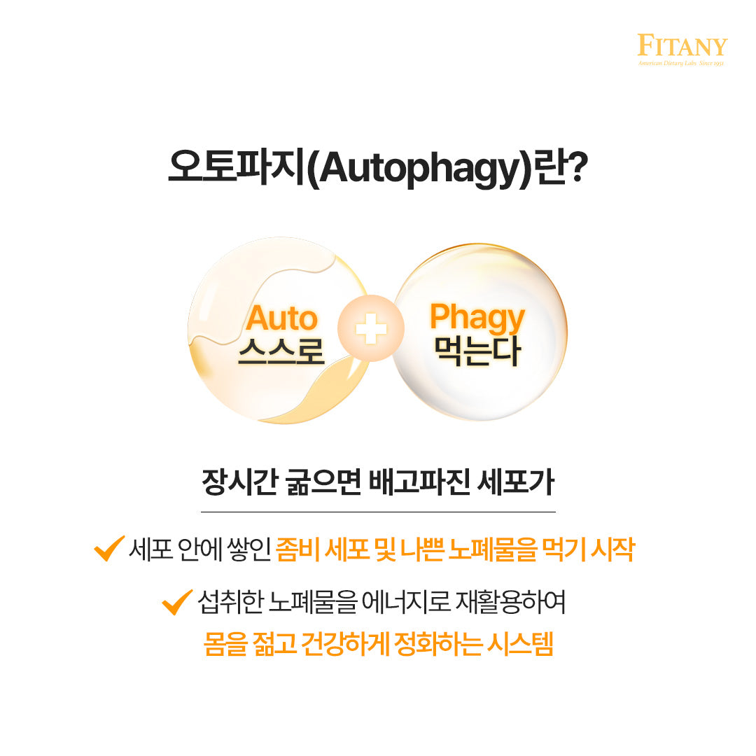 [1박스 30정] 피타니 오토파지딘 저속노화 세포청소 스페르미딘