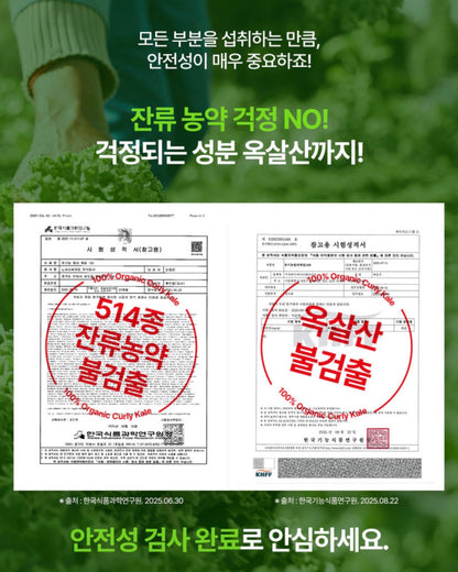 [5박스 150포] 피타니 100% 미국산 유기농 컬리 케일 글루코시놀레이트 저온진공건조 파우더 분말