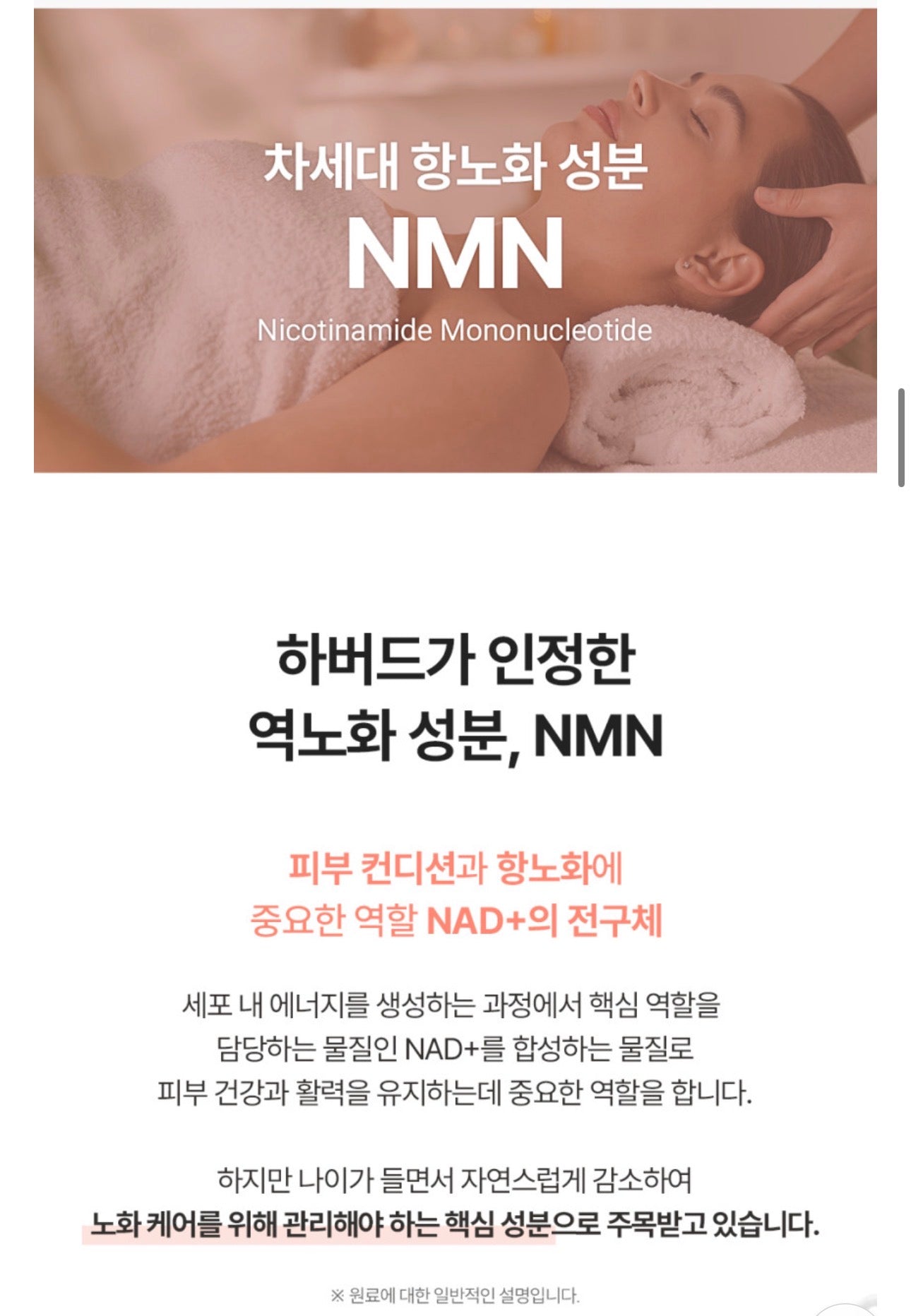 [5박스 140정]피타니 효모발효 좀비세포 고순도 에버 엔엠엔 피부 역노화 동안세포 고함량 NMN