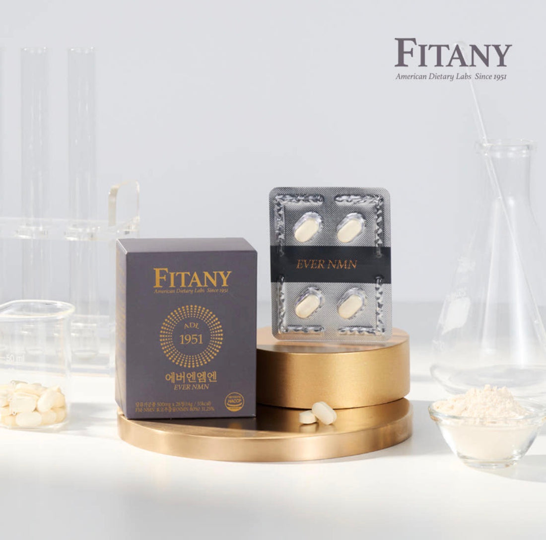 [2박스 56정]피타니 효모발효 좀비세포 고순도 에버 엔엠엔 피부 역노화 동안세포 고함량 NMN