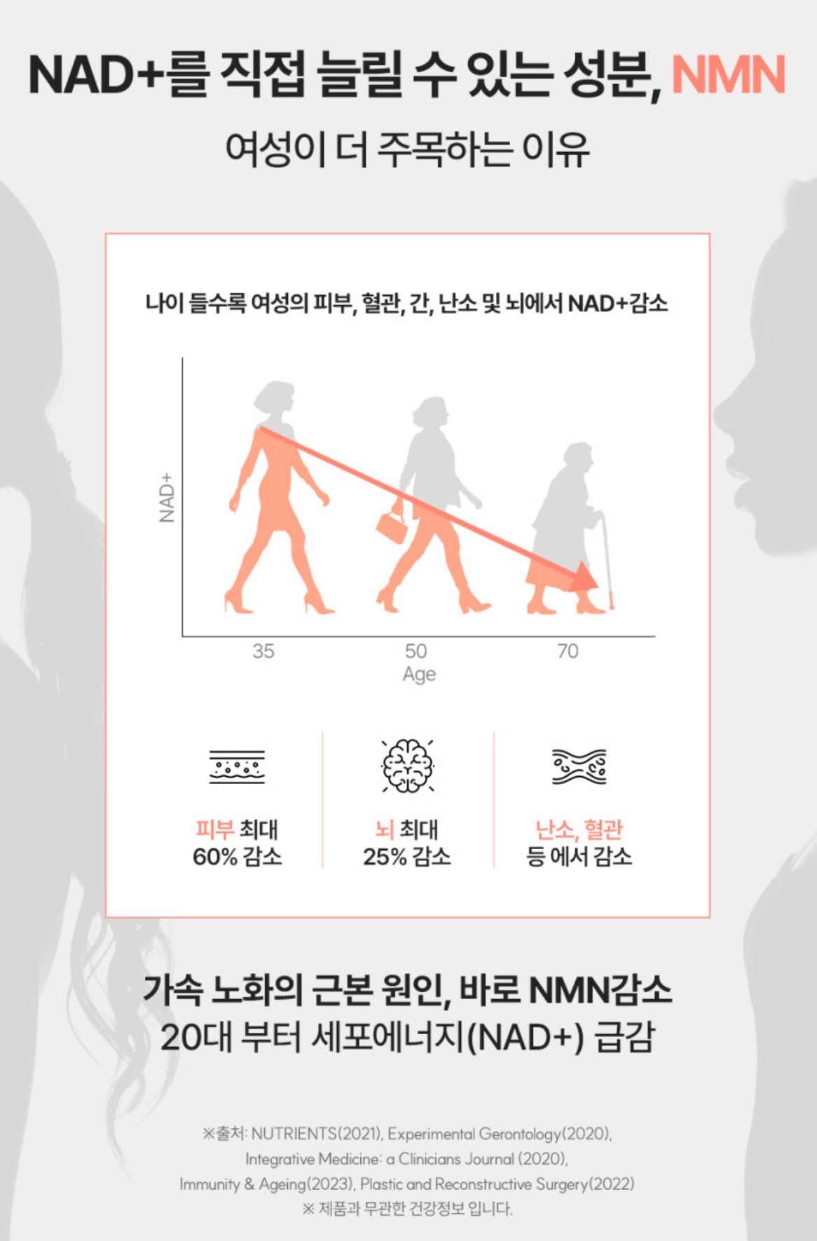 [5박스 140정]피타니 효모발효 좀비세포 고순도 에버 엔엠엔 피부 역노화 동안세포 고함량 NMN