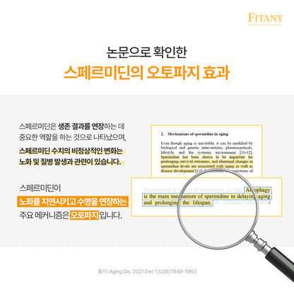 [1박스 30정] 피타니 오토파지딘 저속노화 세포청소 스페르미딘