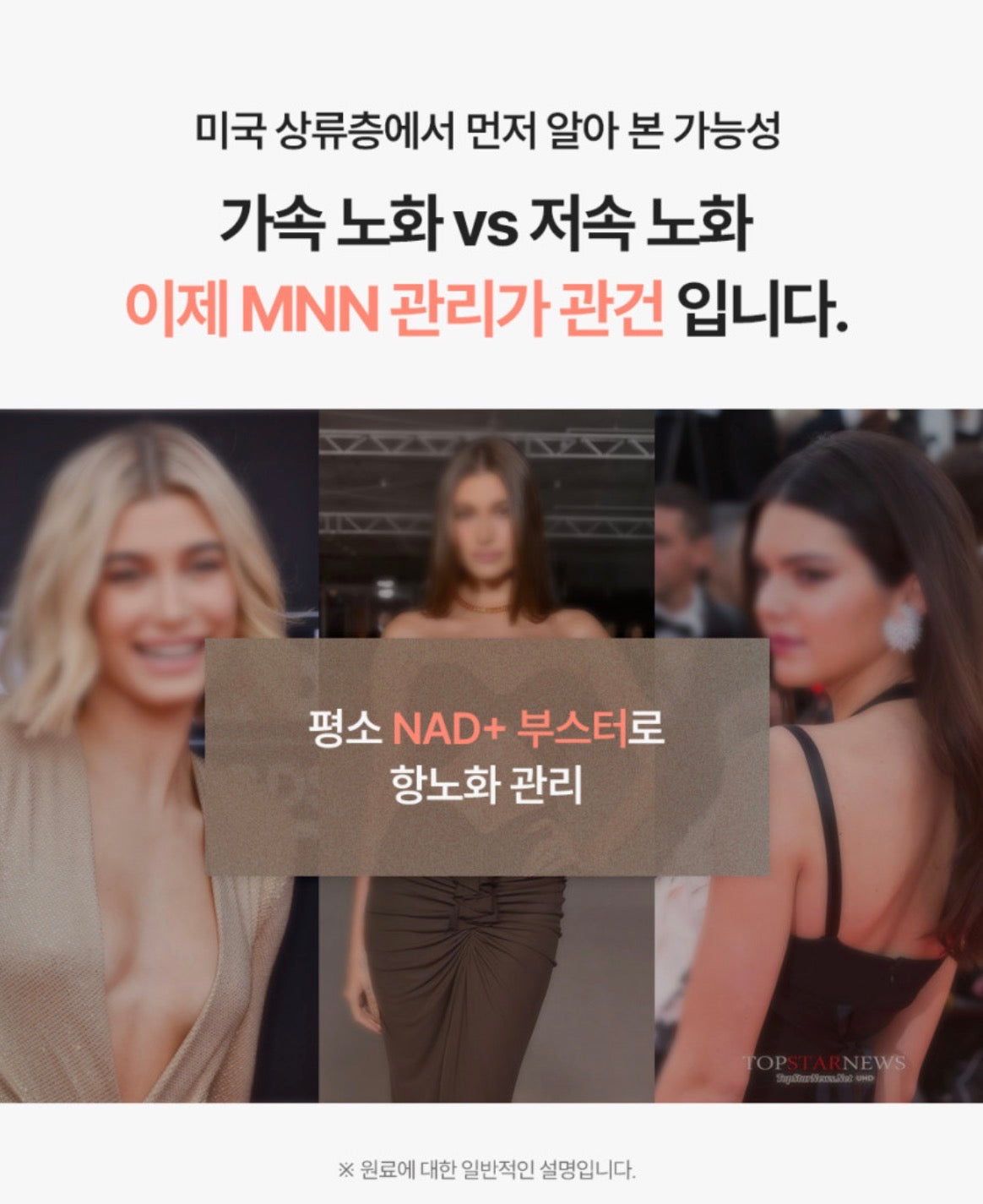 [5박스 140정]피타니 효모발효 좀비세포 고순도 에버 엔엠엔 피부 역노화 동안세포 고함량 NMN