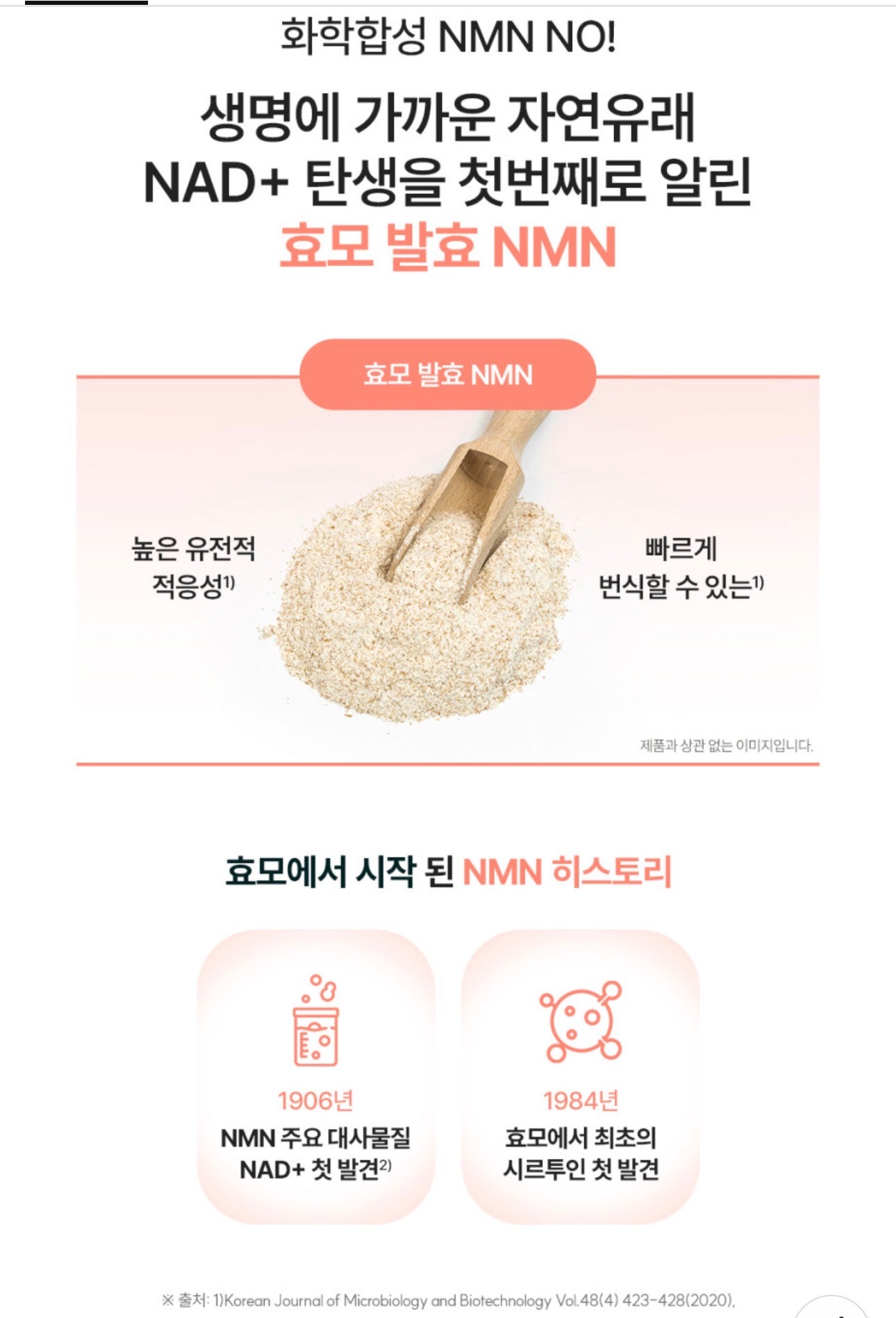 [5박스 140정]피타니 효모발효 좀비세포 고순도 에버 엔엠엔 피부 역노화 동안세포 고함량 NMN