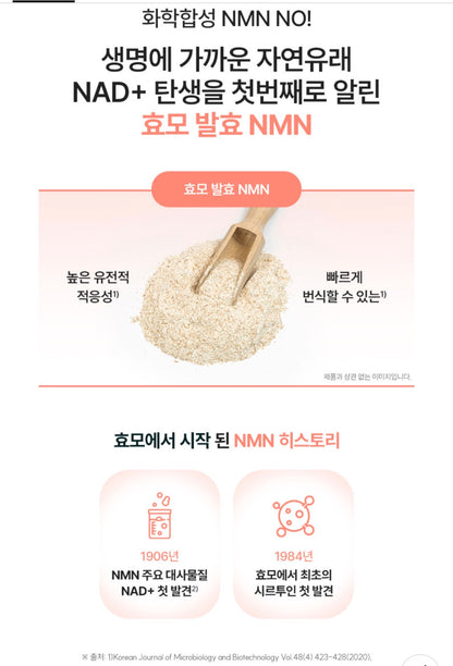 [5박스 140정]피타니 효모발효 좀비세포 고순도 에버 엔엠엔 피부 역노화 동안세포 고함량 NMN