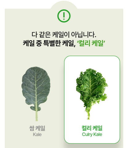 [5박스 150포] 피타니 100% 미국산 유기농 컬리 케일 글루코시놀레이트 저온진공건조 파우더 분말