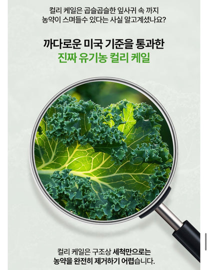 [5박스 150포] 피타니 100% 미국산 유기농 컬리 케일 글루코시놀레이트 저온진공건조 파우더 분말